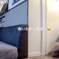 「今までどこ行ってたの！」