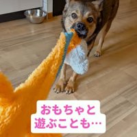 おもちゃが楽しくてご機嫌♪