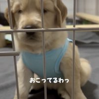 右手を床にダンッ！