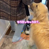 玄関にある靴を履く女性