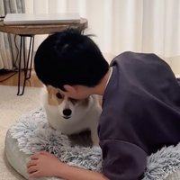 宿題中の男の子とココちゃん8