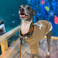 第2の犬生がスタート