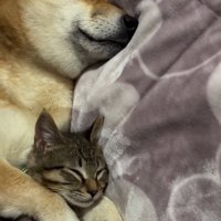 腕枕されるゆずくん