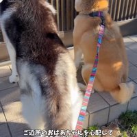 おもちくんとおこめくん