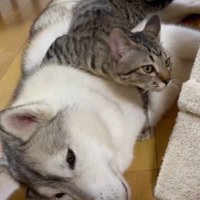 温度差が激しい2匹でした
