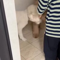 ますお君＆まるお君とママさんの再会5