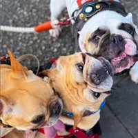 仲良くなったライトくんたち