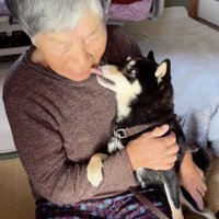 人の顔を舐める犬