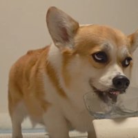 衝撃
