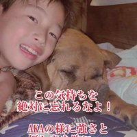 AKAちゃんのことを忘れないで