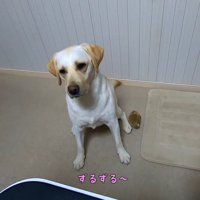待ち切れないご様子