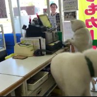 2匹が大好きなお客さん♡