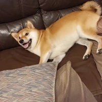 取扱説明書が役立った！！