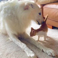 お互いの匂いをクンクン…