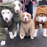 みんな嫌そう…！！