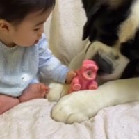 カイザーくんとの思い出5