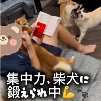 応援団のわんこたち