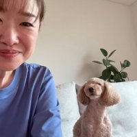 飼い主を見つめる小型犬