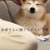 幸せいっぱい