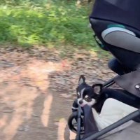 すずちゃんと赤ちゃん9