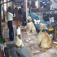 まるで指導者！？