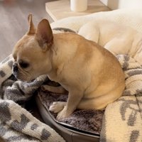 最後まで葛藤していたイヴさん
