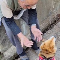 お散歩中に出会うと…