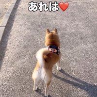 「初恋の男性」を発見！！