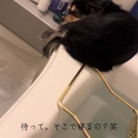 まるで猫のよう！