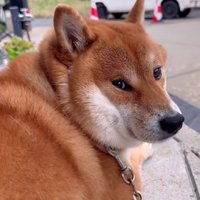 「また来るよね？」