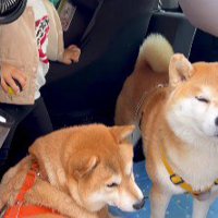 初めて保育園へ行く日