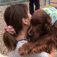顔を寄せる犬