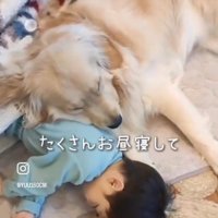 一緒に寝るふたり