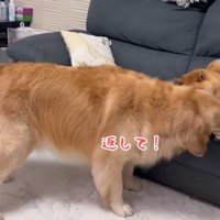 「それもほのちゃんの！！」
