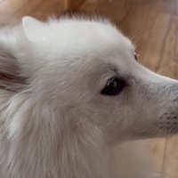 横顔がイケメン♡