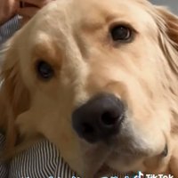 不満そうな麹くん