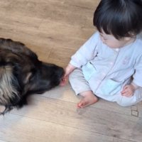 娘さんの手を舐めるバオバオくん