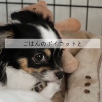 しずくちゃんの変化