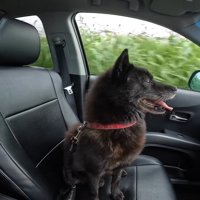 車に乗って出発