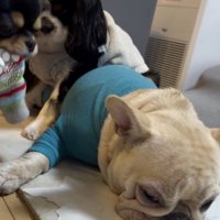 みるくちゃん、ずっと無抵抗