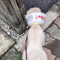 斬新すぎるアイデア！