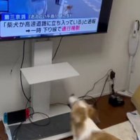 大きく踏み込んで…