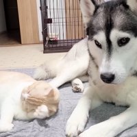 みんな仲良しでいてほしいようです♡