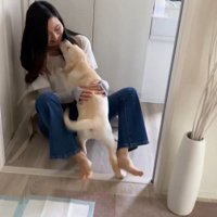 大好きな人との再会を喜ぶ虎丸くん3