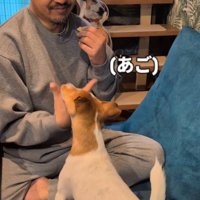 カイくんとのコミュニケーションは手話