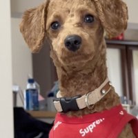 これはこれで…とても良い