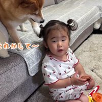 ほのちゃんと遊びたい…