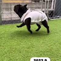 嬉しそうなあずきちゃん