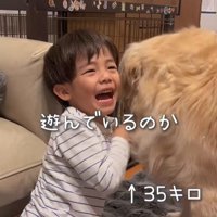 エルくんと男の子7