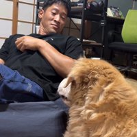 きんちゃんと飼い主さんのやり取り⑩
